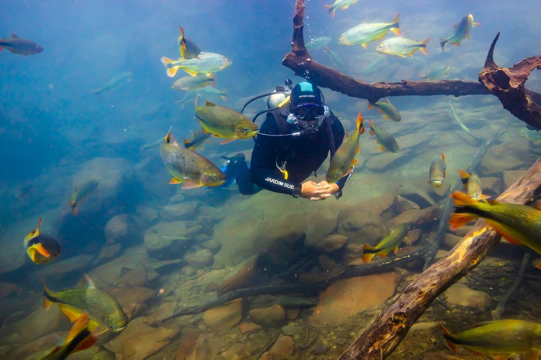 Mergulho Rio da Prata